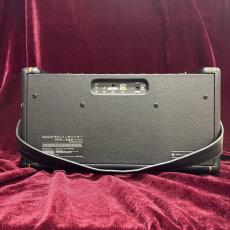 Positive Grid Spark40_3