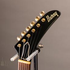 Burny REX-80  76’Model _5