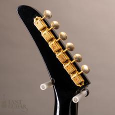 Burny REX-80  76’Model _6