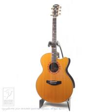 YAMAHA CPX-50 Custom_2