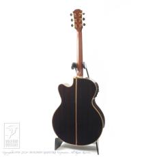 YAMAHA CPX-50 Custom_4