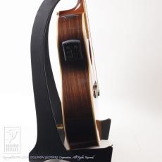 YAMAHA CPX-50 Custom_5