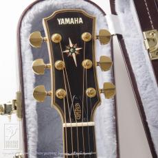 YAMAHA CPX-50 Custom_6