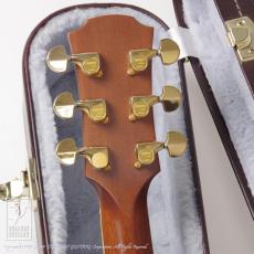 YAMAHA CPX-50 Custom_7