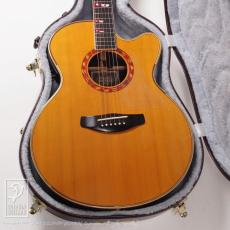 YAMAHA CPX-50 Custom_10