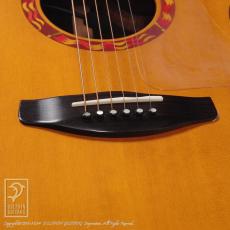 YAMAHA CPX-50 Custom_11