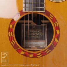 YAMAHA CPX-50 Custom_12