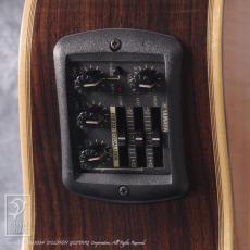 YAMAHA CPX-50 Custom_13