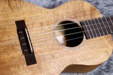 Martin T1K Uke #39807 【テナー】【ハワイアンコア単板】【お勧め個体】【2026年入荷品】【池袋在庫品】_3