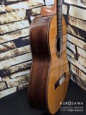 Arcangel Fernandez アルカンヘル・フェルナンデス 2006年製 松・ローズウッド【日本総本店2F 在庫品】_9