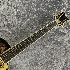 Gretsch G6134TG LTD Paisley Penguin wiz Bigsby Ebony Fingerboard ~Black Paisley~ #JT23104200【限定モデル】_3