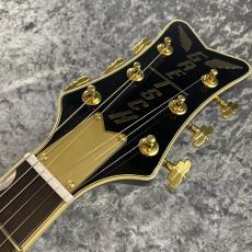 Gretsch G6134TG LTD Paisley Penguin wiz Bigsby Ebony Fingerboard ~Black Paisley~ #JT23104200【限定モデル】_4