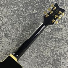 Gretsch G6134TG LTD Paisley Penguin wiz Bigsby Ebony Fingerboard ~Black Paisley~ #JT23104200【限定モデル】_7