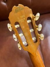 Gibson Gibson Custom Shop Edition Chet Atkins CE ~Natural~ [4.40kg]3F_9
