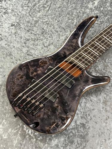 Ibanez SRMS806 -Deep Twilight- 【4.31kg】【#I240310923】