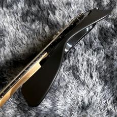 VOX Starstream Bass 2S Black  (VSB-2S-BK)  【アウトレット特価】_9