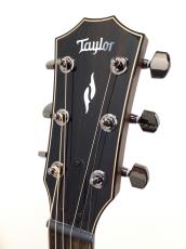 Taylor 814ce Next Generation【Claria搭載最新仕様!】_3