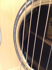 Taylor 814ce Next Generation【Claria搭載最新仕様!】_8