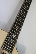 Taylor 814ce Next Generation【新モデル】【Claria PU搭載】_7