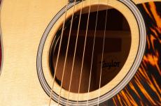 Taylor 314ce Next Generation #1202026052【2026 New Version】_5