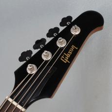 Gibson Thunderbird Tobacco Burst Perimeter_3