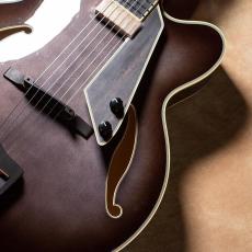 Aria Pro II FA-2100 SBK(See-through Black)【お取り寄せ商品】_3