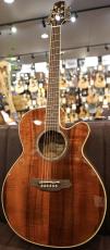 Takamine FPT531KC N【オールハワイアンコア】_2