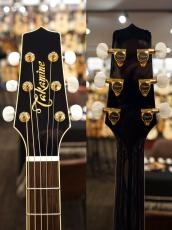 Takamine DMP552C DBS【サイドバック ローズウッド】【人気の高い青】_9