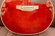 Takamine DMP551C Dual WR 【Dualピックアップ搭載】【トップシダー】_3