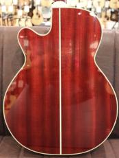 Takamine DMP551C Dual WR 【Dualピックアップ搭載】【トップシダー】_5