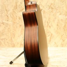 Taylor 316ce ES1 2014_5