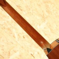 Taylor 316ce ES1 2014_7