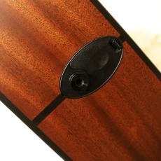 Taylor 316ce ES1 2014_10