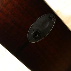 Taylor Builder's Edition 324ce 2020_10