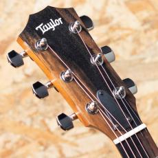 Taylor 214ce-K SB Plus_8