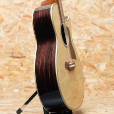 Taylor C14ce B6019_4