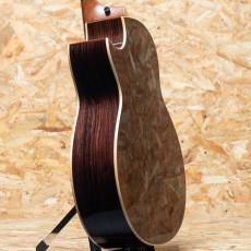 Taylor C14ce B6019_5