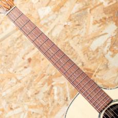 Taylor C14ce B6019_6