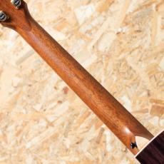 Taylor C14ce B6019_7