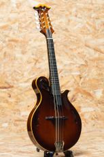 池垣工房 Flat Mandolin 2007_3