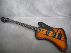 Epiphone T-BIRD PRO _4