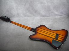 Epiphone T-BIRD PRO _5