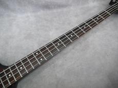 Epiphone T-BIRD PRO _9