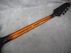 Epiphone T-BIRD PRO _10