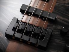 Spector Custom Shop NS-2 Buckeye ~Super Faded Black~_9