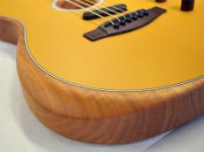 Fender ACOUSTASONIC PLAYER TELECASTER_10