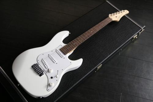 FUJIGEN EXPERT-OS/AL  MATTE  WHITE ハカランダ指板　Bare Knuckle The Mother's Milk PU