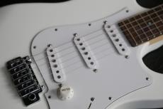 FUJIGEN EXPERT-OS/AL  MATTE  WHITE ハカランダ指板　Bare Knuckle The Mother's Milk PU_5