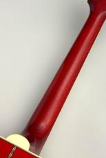 Gibson 【春爛漫セール!】Dove Original  AN #22884132【鮮烈なメイプルサウンド】【48回無金利】_10