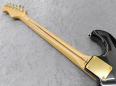 Tokai AST-101G BB/R/MH_6